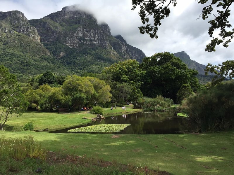 Kirstenbosch National Botanical Garden